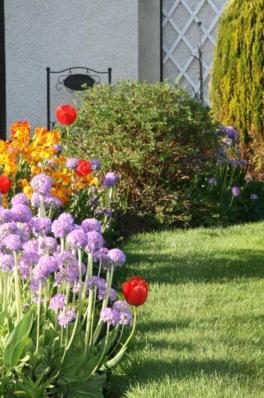 Ken-Mar House Bed And Breakfast Ballymoney Esterno foto